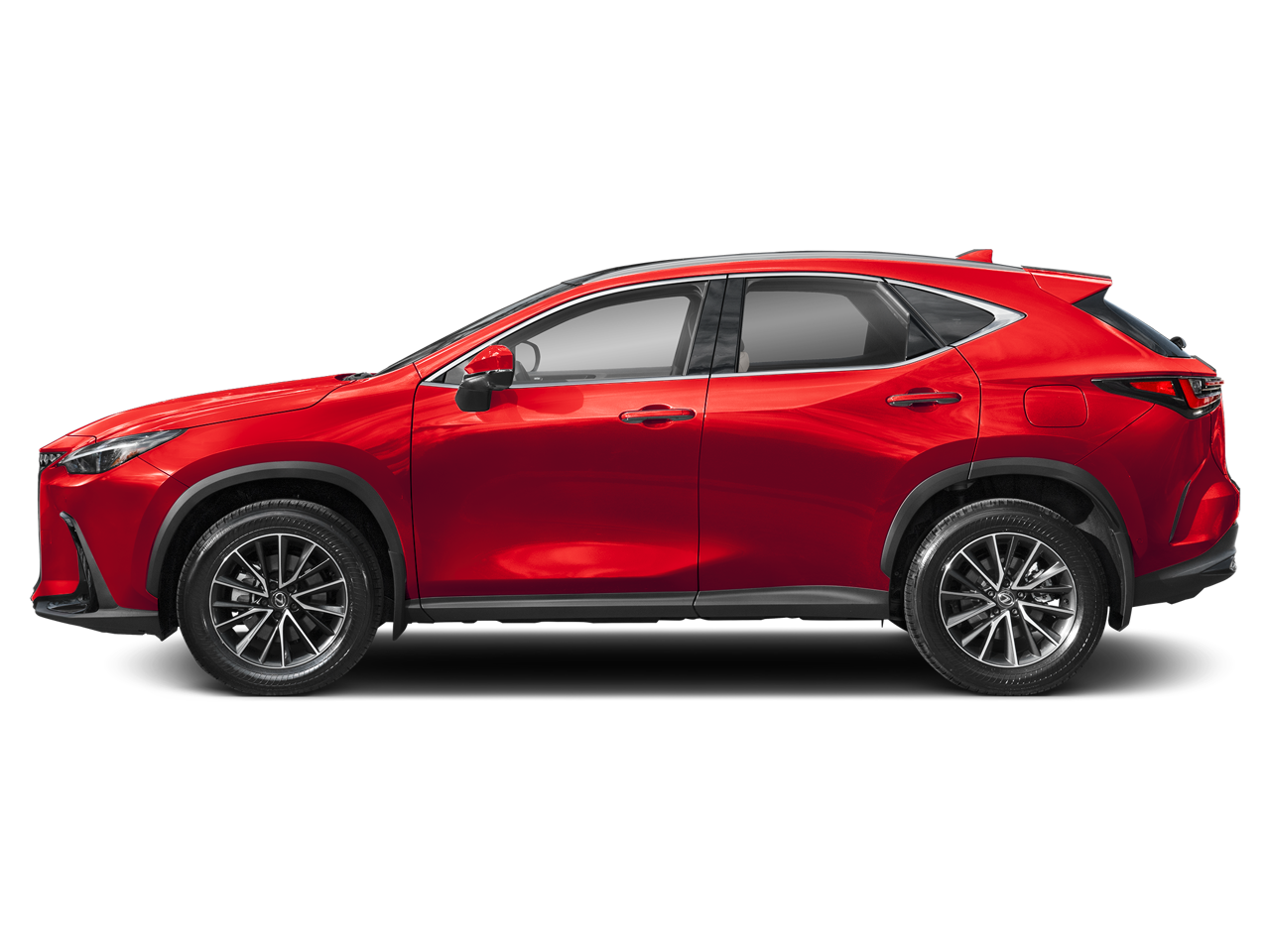 2025 Lexus NX 350h Luxury AWD photo 2
