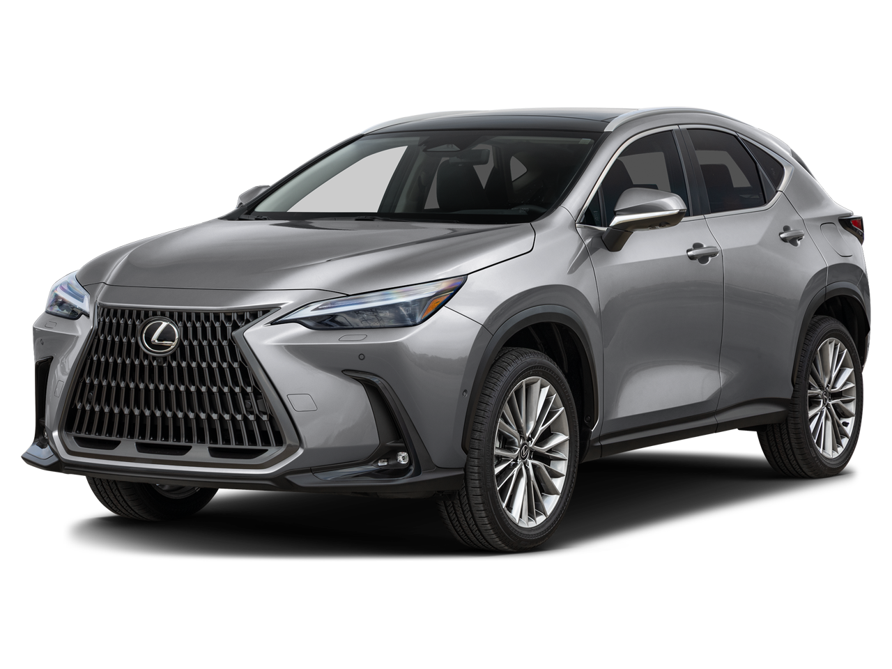 2026 Lexus NX 350h's photo