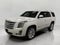 2020 Cadillac Escalade 4WD 4dr Platinum