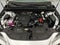 2026 Lexus NX NX 350 AWD