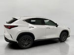 2026 Lexus NX NX 350 AWD