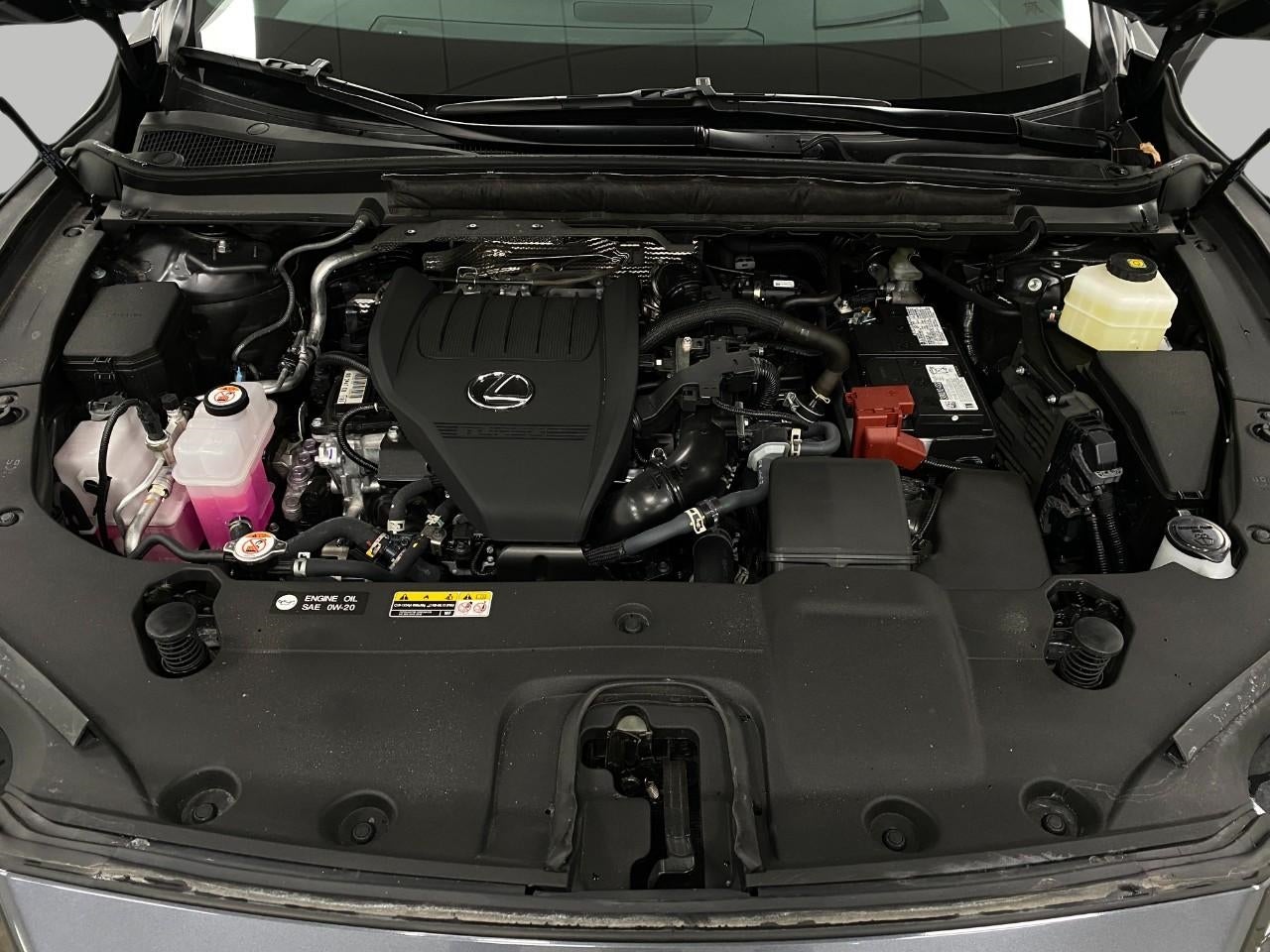 2025 Lexus RX UTILITY