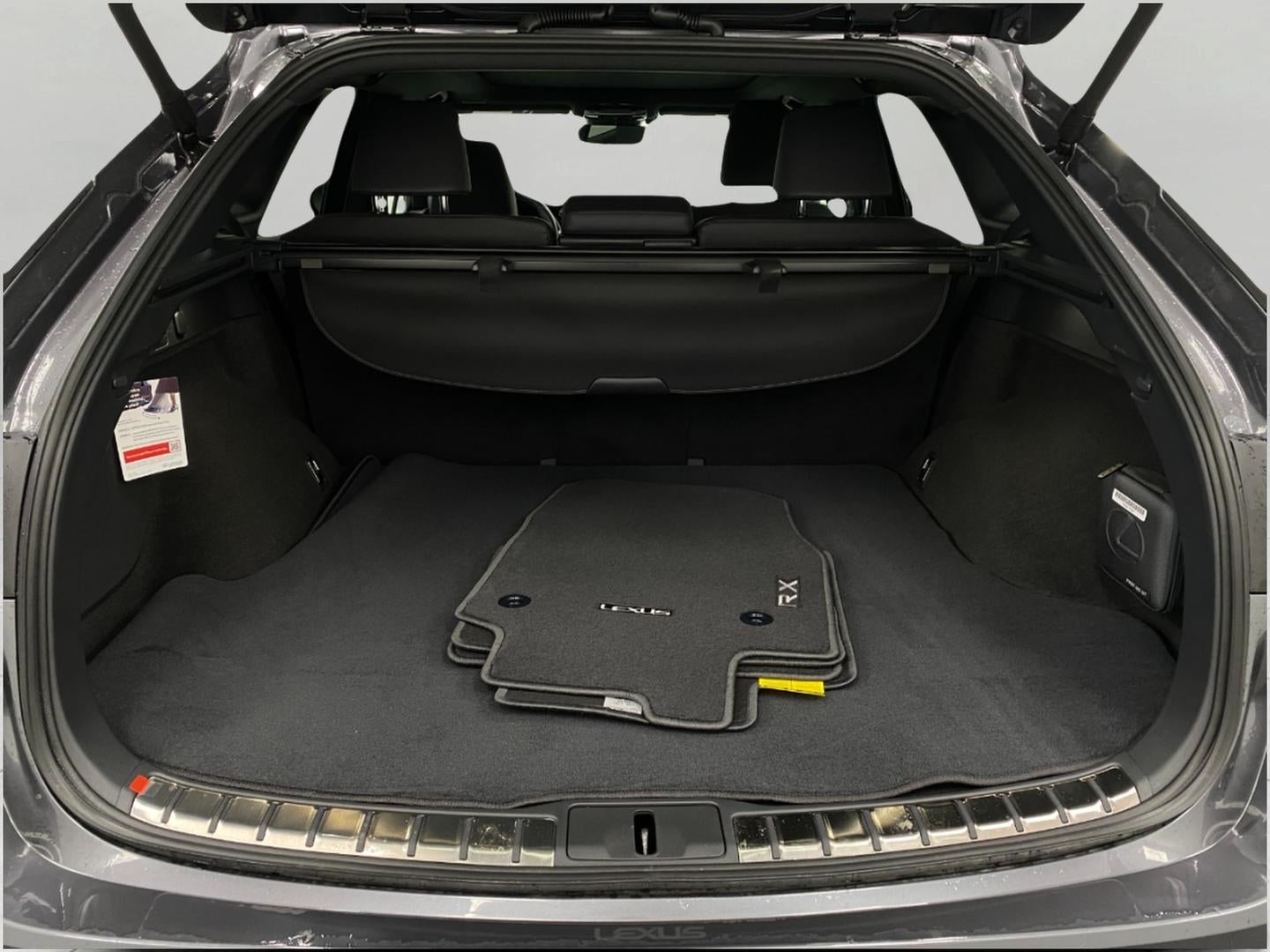 2025 Lexus RX UTILITY