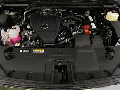 2025 Lexus RX UTILITY