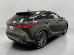 2025 Lexus RX UTILITY