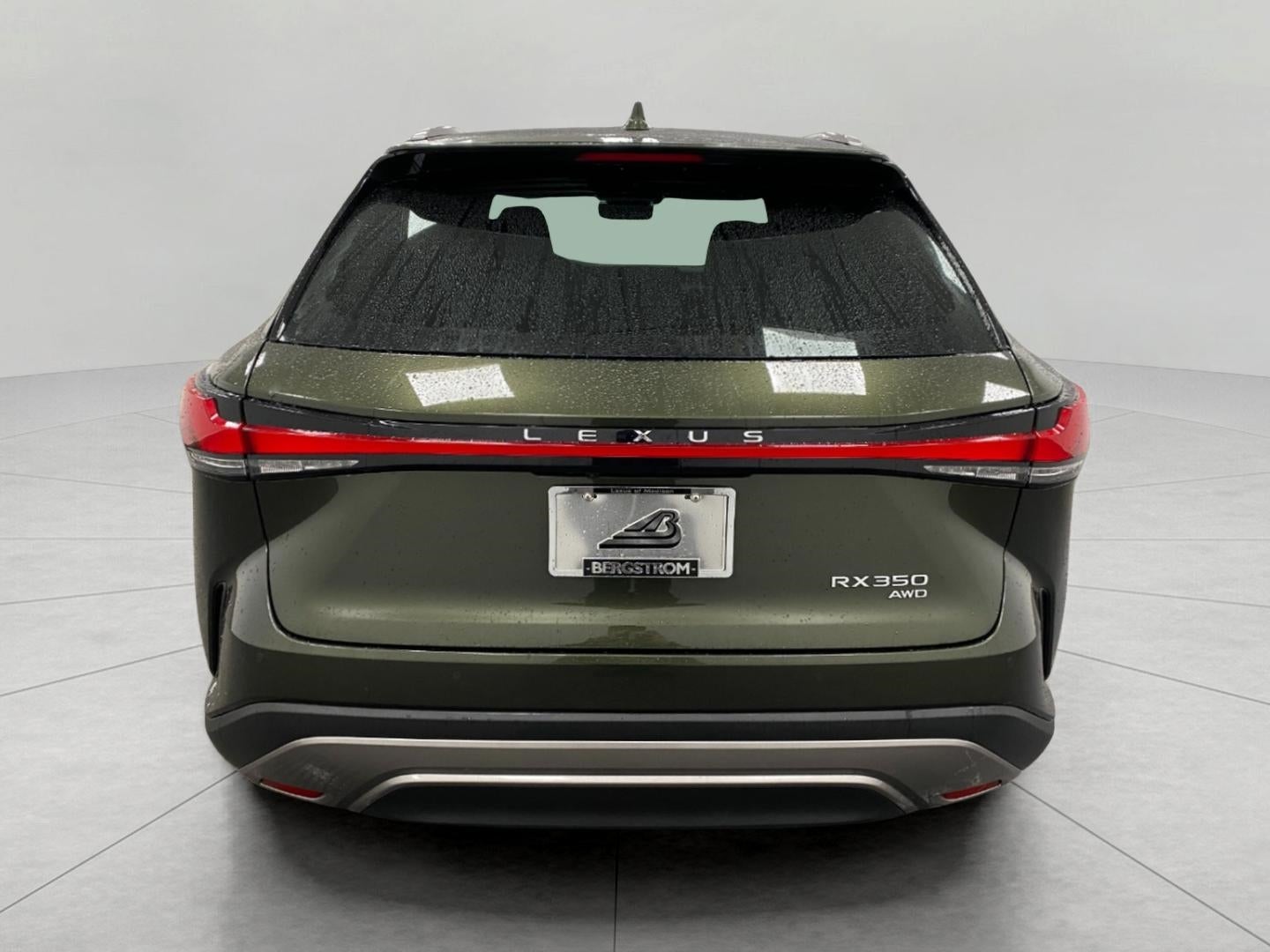 2025 Lexus RX UTILITY