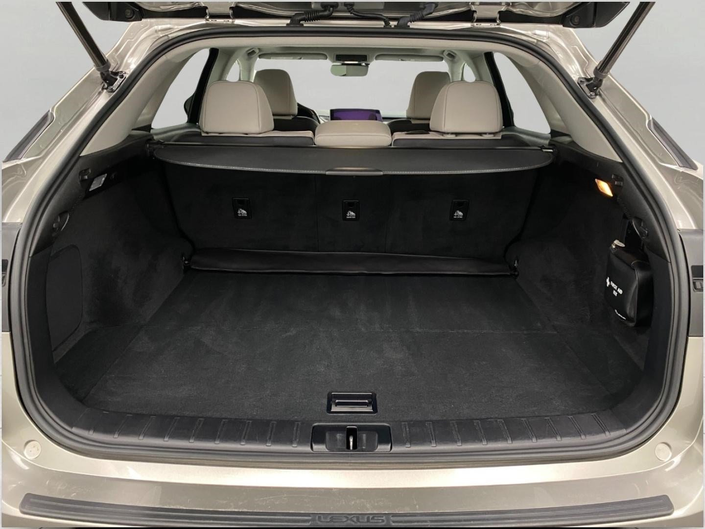 2019 Lexus RX RX 350 AWD