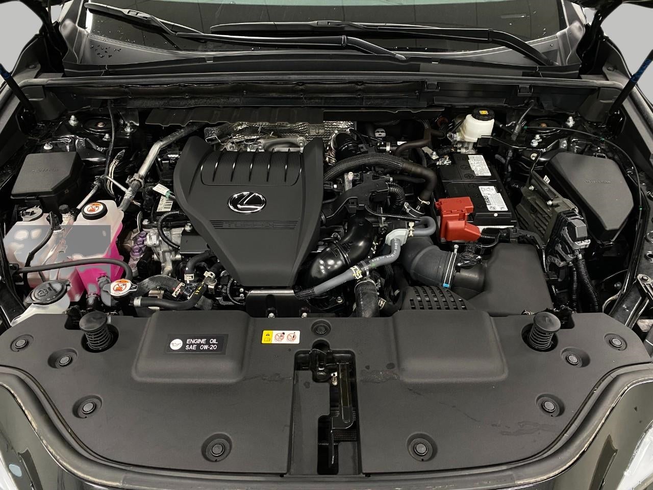 2024 Lexus NX NX 350 Premium AWD