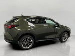 2026 Lexus NX NX 350 Premium AWD
