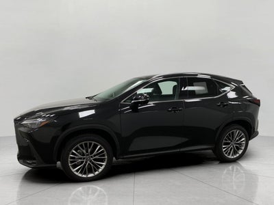 2026 Lexus NX NX 350 Premium AWD