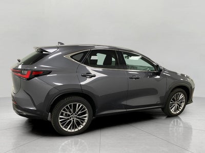 2022 Lexus NX NX 350 Premium AWD