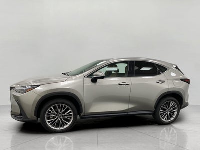 2026 Lexus NX NX 350 Premium AWD