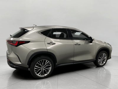2022 Lexus NX NX 350h Premium AWD