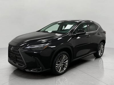 2024 Lexus NX NX 350 Luxury AWD