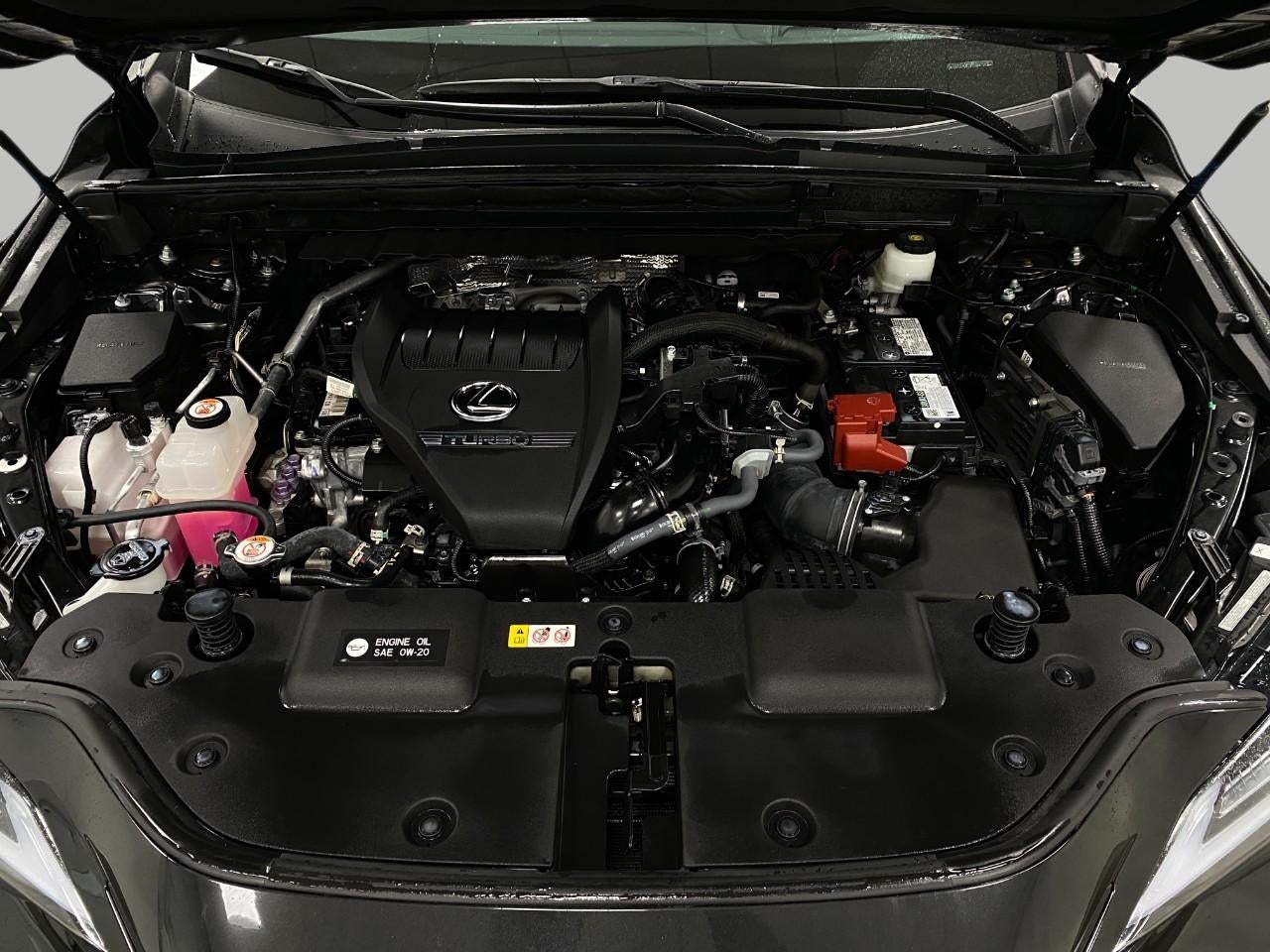 2024 Lexus NX NX 350 Luxury AWD