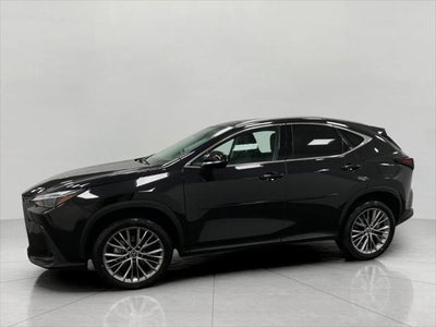 2024 Lexus NX NX 350 Luxury AWD