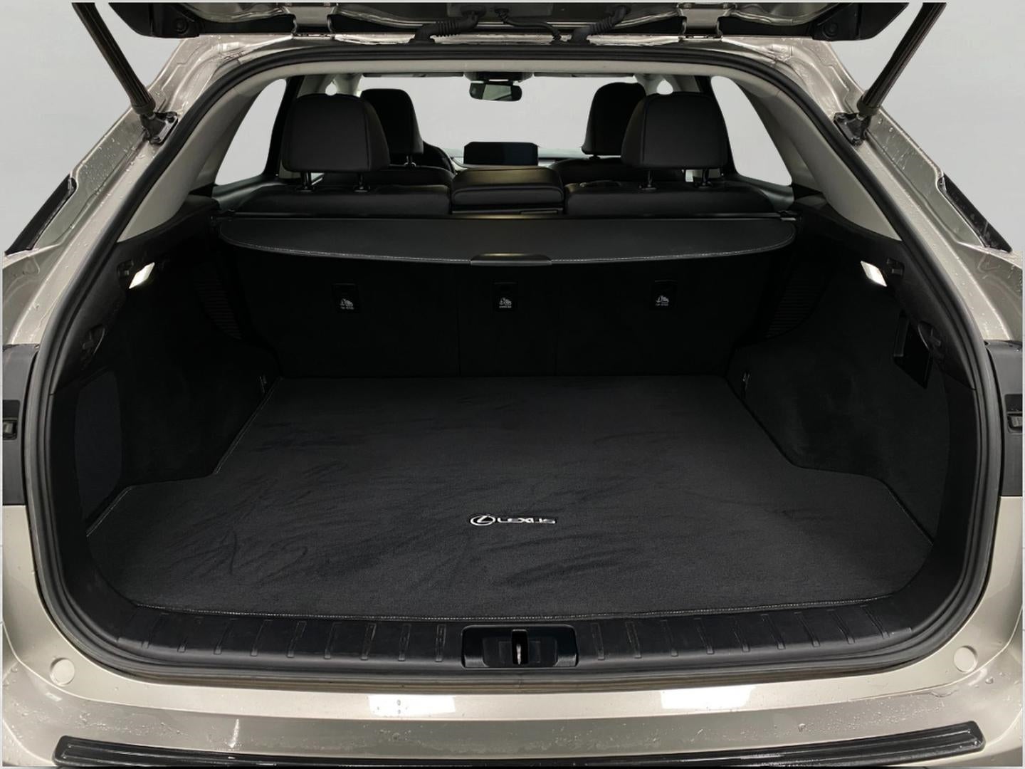 2021 Lexus RX RX 450h AWD