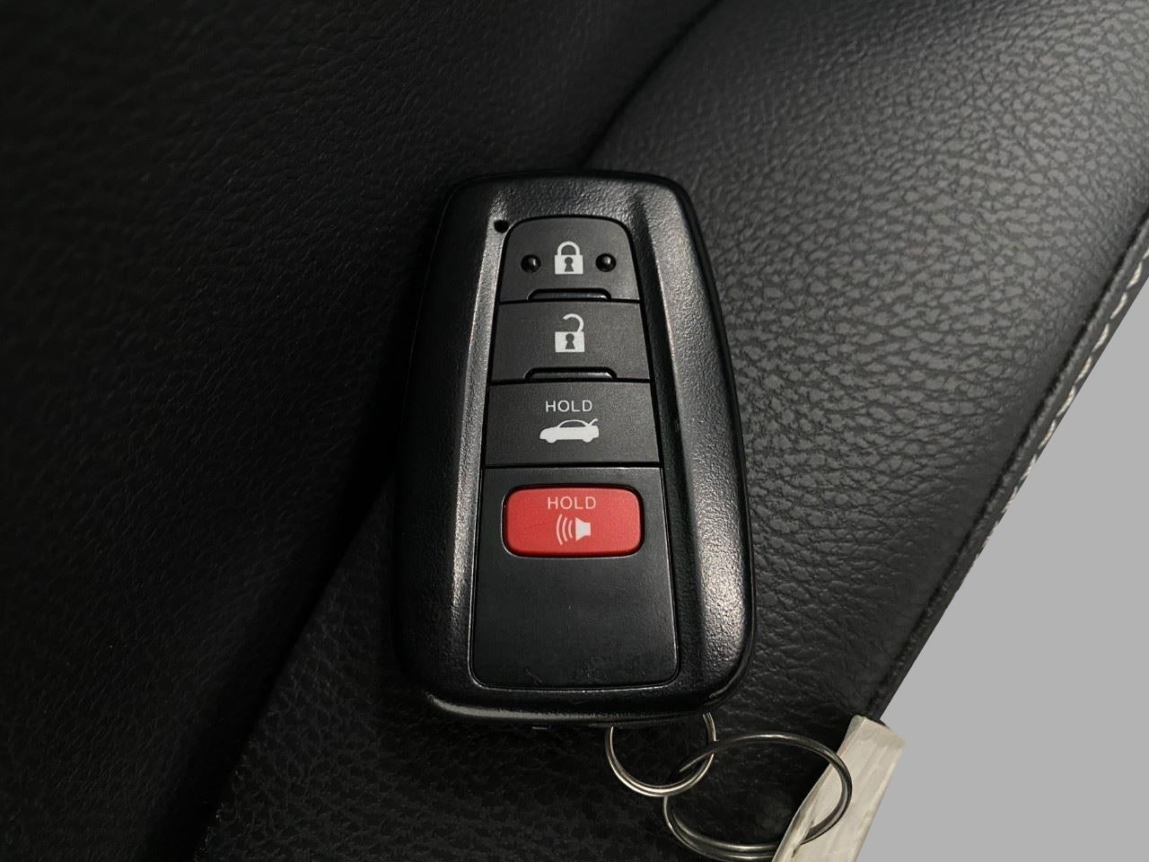 2024 Toyota Camry XSE V6 Auto