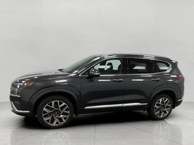 2023 Hyundai Santa Fe Calligraphy AWD
