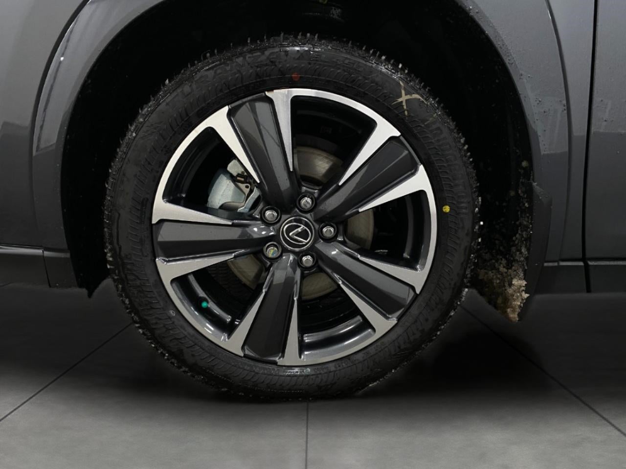 2025 Lexus UX UX 300h Premium AWD