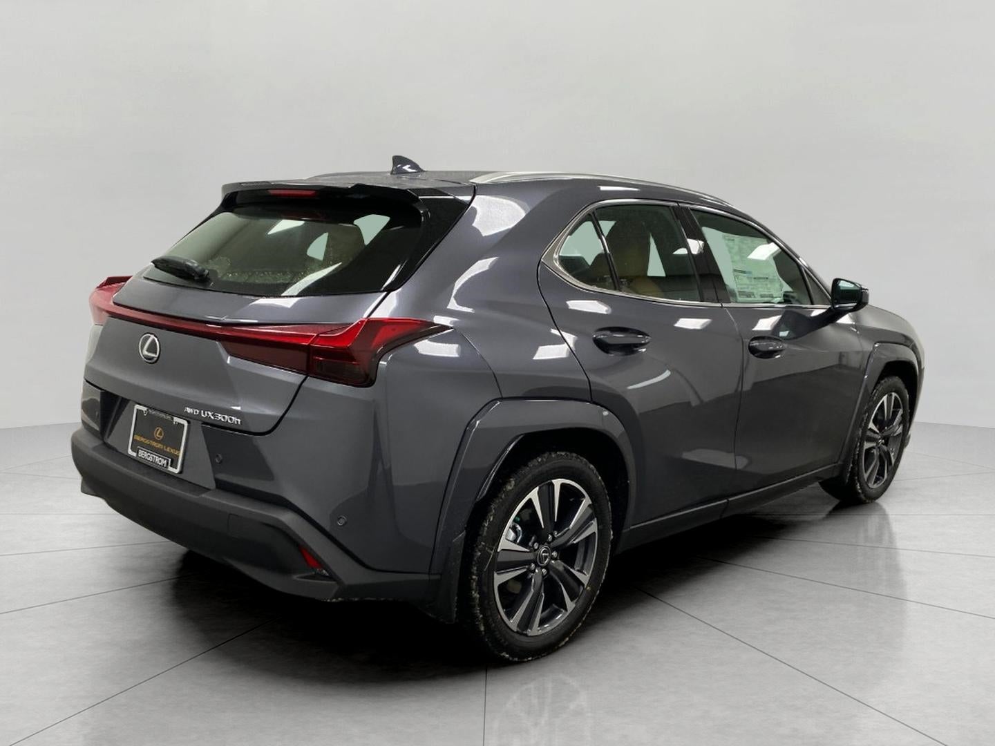 2025 Lexus UX UX 300h Premium AWD