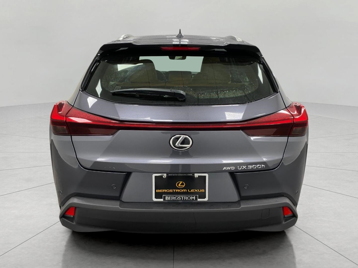 2025 Lexus UX UX 300h Premium AWD