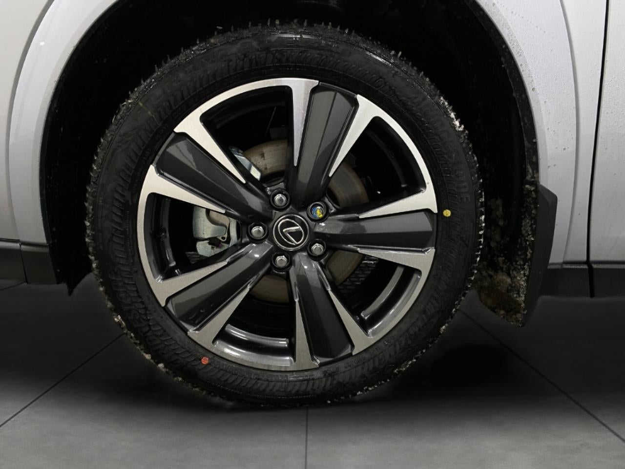 2025 Lexus UX UX 300h Premium AWD