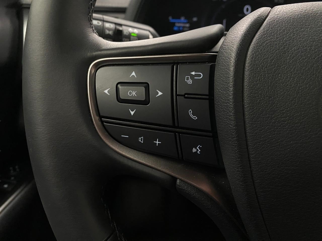 2025 Lexus UX UX 300h F SPORT Design AWD