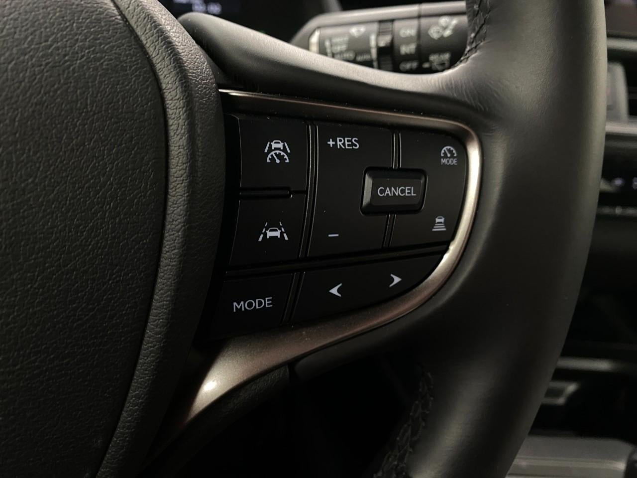 2025 Lexus UX UX 300h F SPORT Design AWD