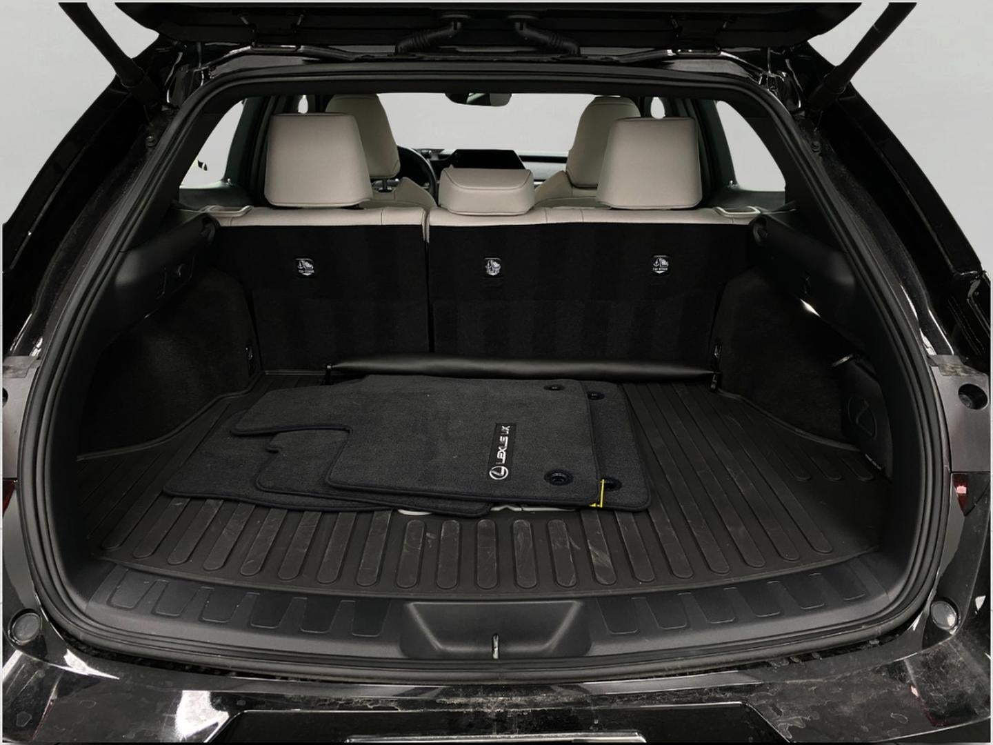 2025 Lexus UX UX 300h F SPORT Design AWD