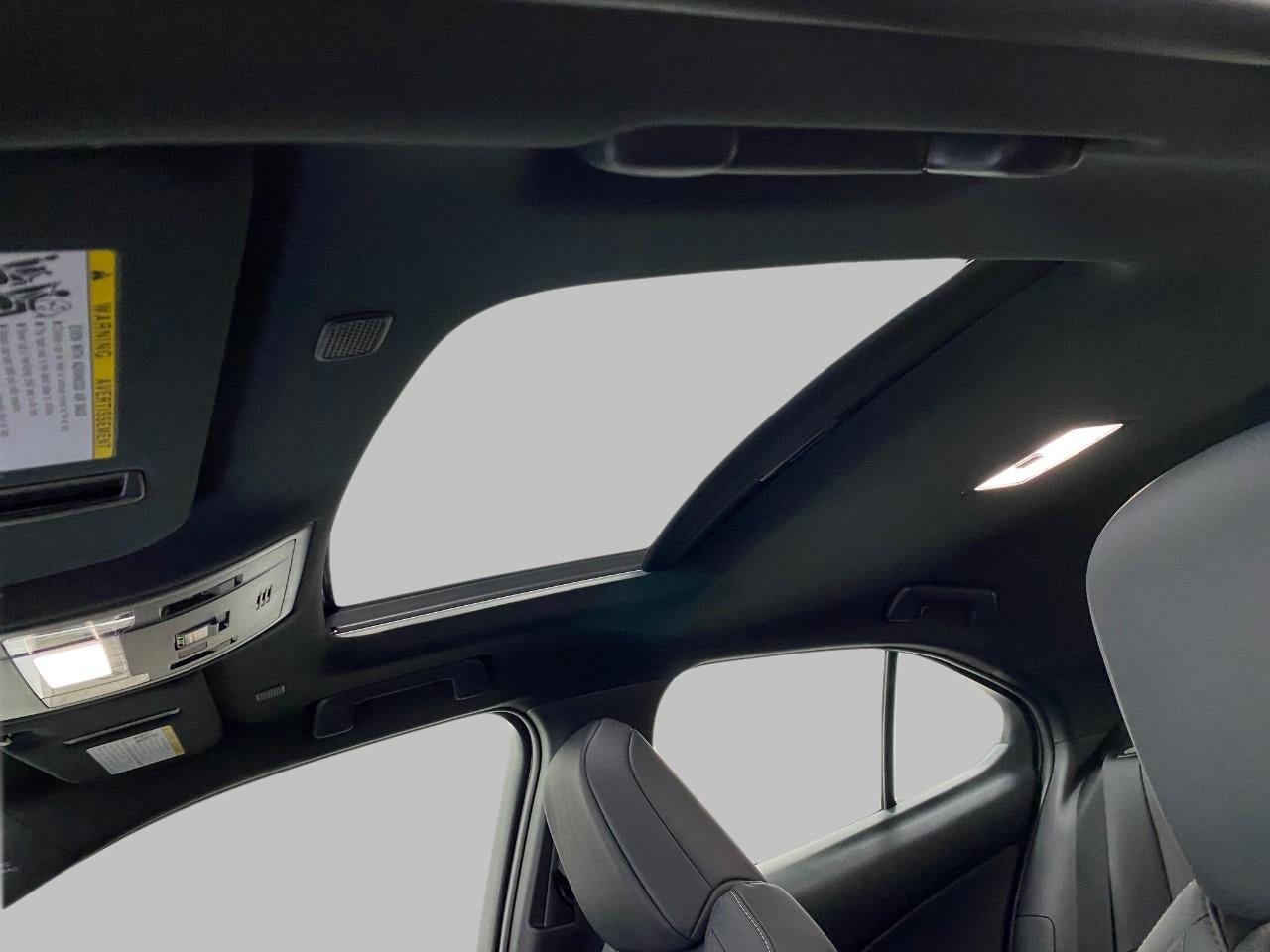 2025 Lexus UX UX 300h Premium AWD