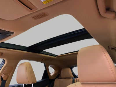 2025 Lexus NX NX 450h+ Luxury AWD