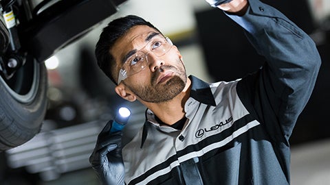 Lexus technician inspecting a vehicle.