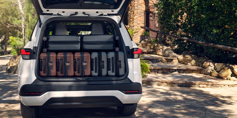 2024 Lexus TX Interior With Couple